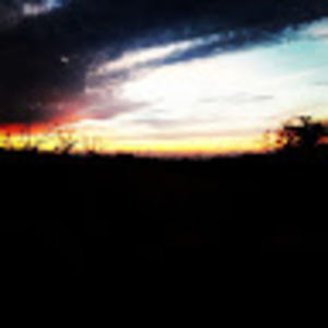 Meet your Posher, Israel